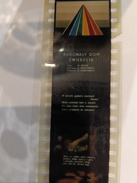 Bajka na rzutnik Ania zwierzęta budują dom