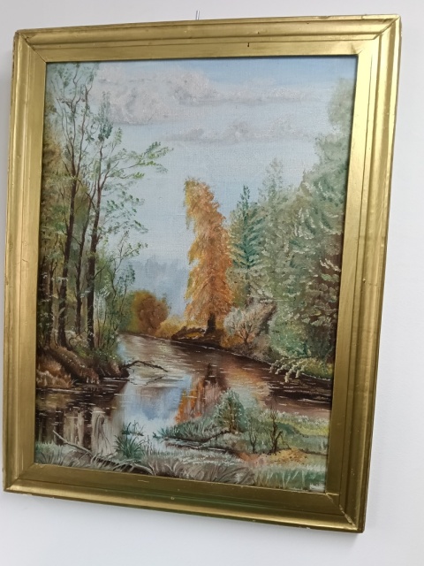 Obraz na płótnie las. Wymiary 60x47