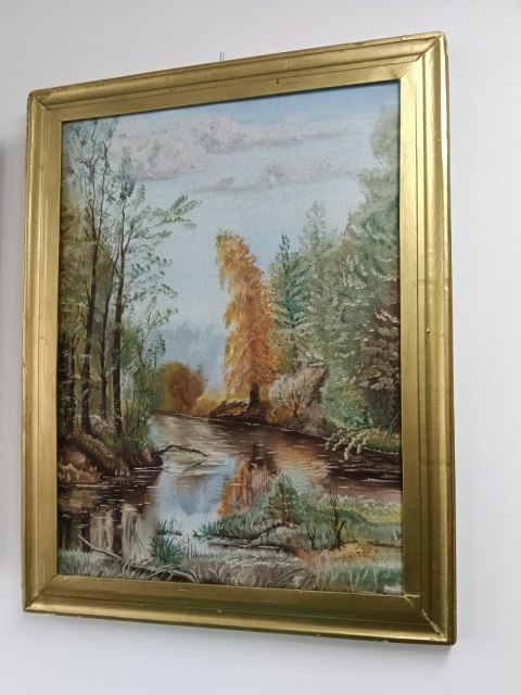 Obraz na płótnie las. Wymiary 60x47