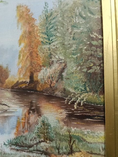 Obraz na płótnie las. Wymiary 60x47