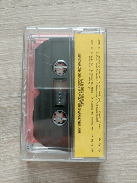 Kaseta magnetofonowa Kate Bush
