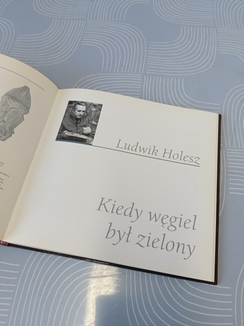 Książka Galeria rodziny Holeszów