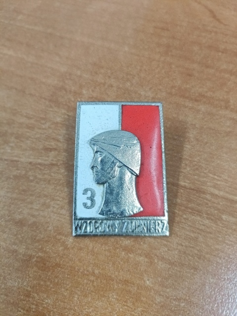 Odznaka wzorowy żołnierz 3 p8