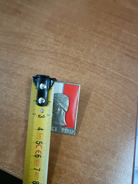 Odznaka wzorowy żołnierz 3 p8