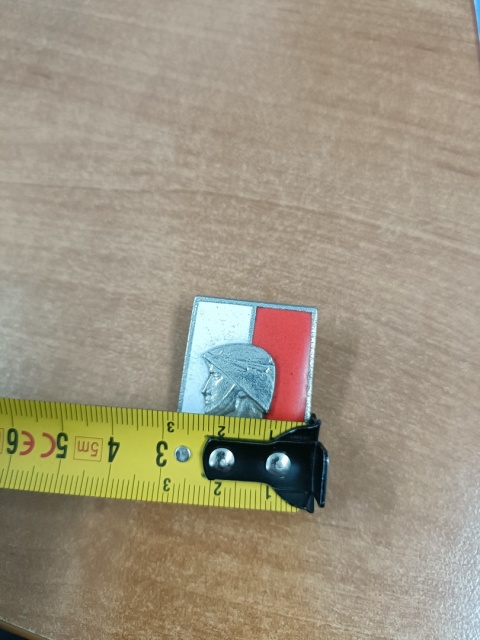 Odznaka wzorowy żołnierz 3 p8