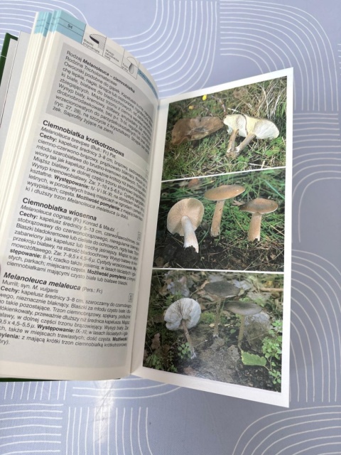 Grzyby. Wielki ilustrowany przewodnik