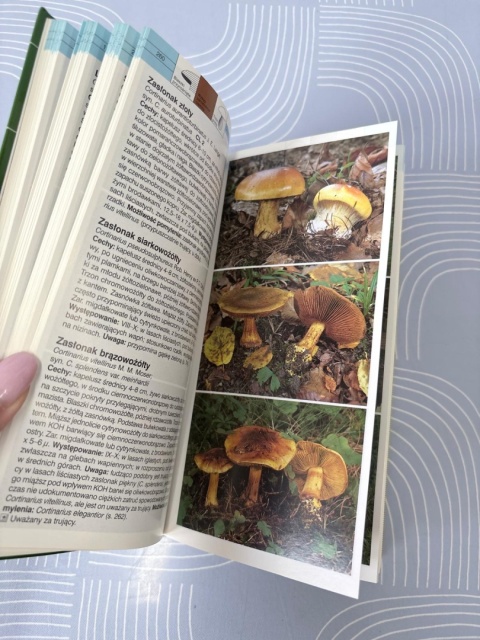 Grzyby. Wielki ilustrowany przewodnik