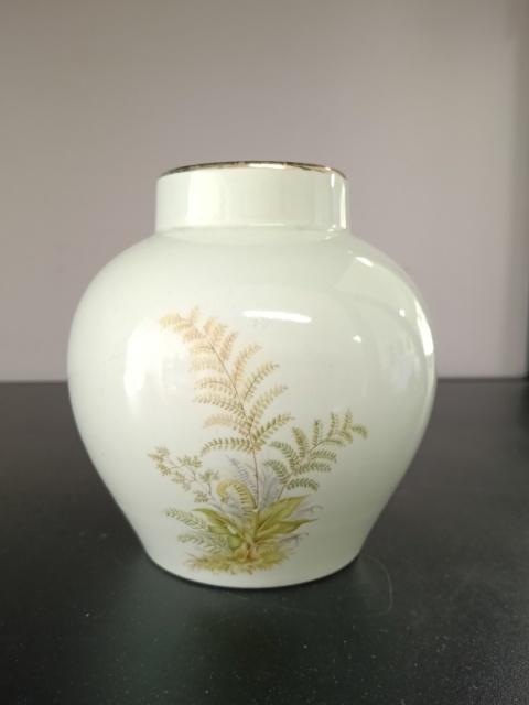 Wazon vintage Wächtersbach z paprocią
