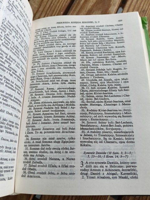 Biblia to jest pismo święte starego i nowego testamentu 1985