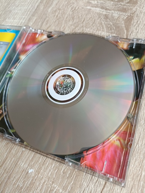 Płyta CD Ibiza house