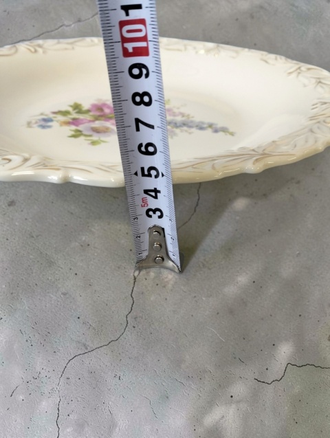 Duża patera porcelanowa C. Tielsch Wałbrzych