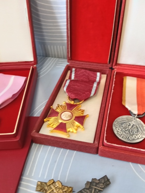 Medale i odznaki z2