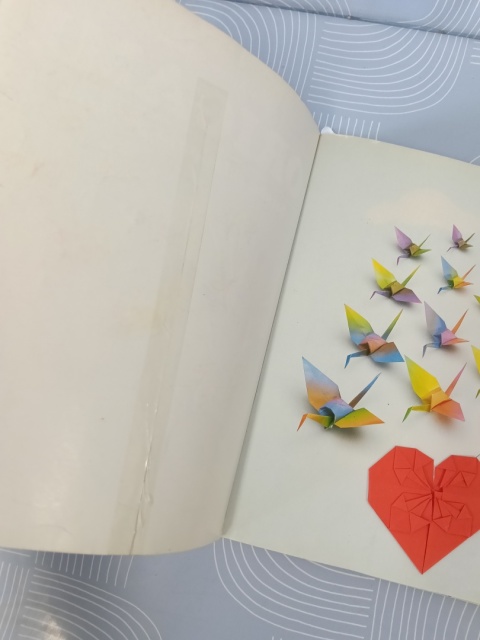 Książka Origami unikat