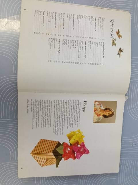 Książka Origami unikat