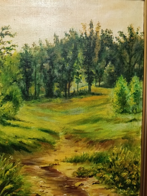 Obraz na płótnie las 56x47