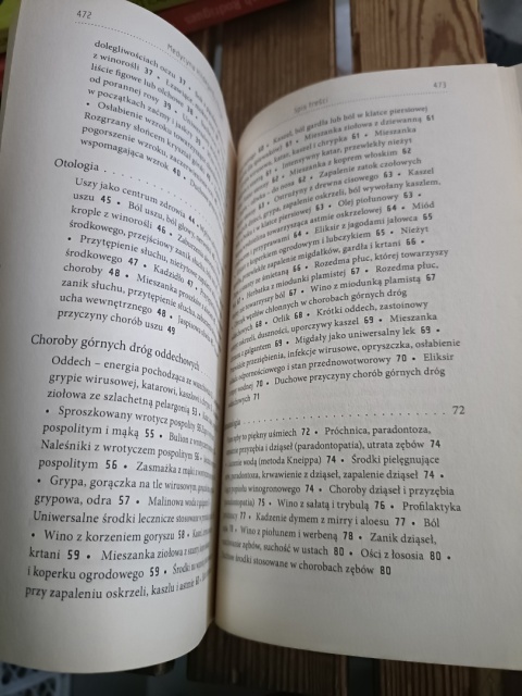 Zdrowie z mądrości natury przewodnik po medycynie św.Hildegardy
