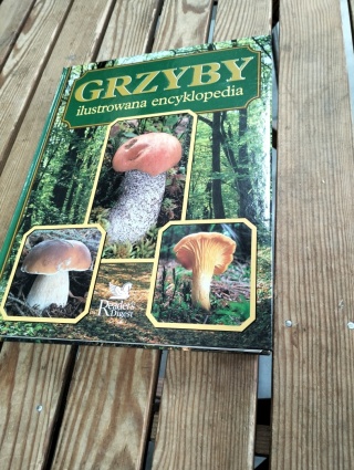 Grzyby ilustrowana encyklopedia