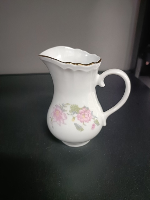 Mlecznik porcelanowy