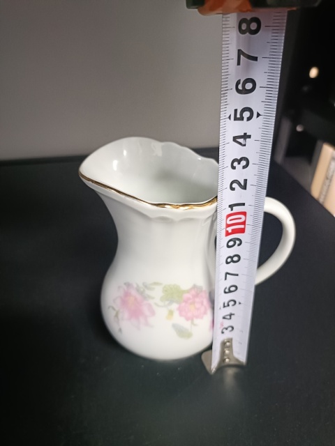 Mlecznik porcelanowy