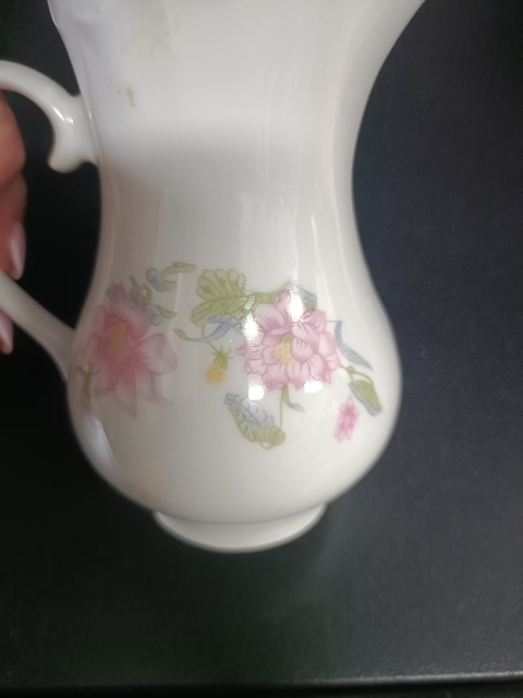 Mlecznik porcelanowy
