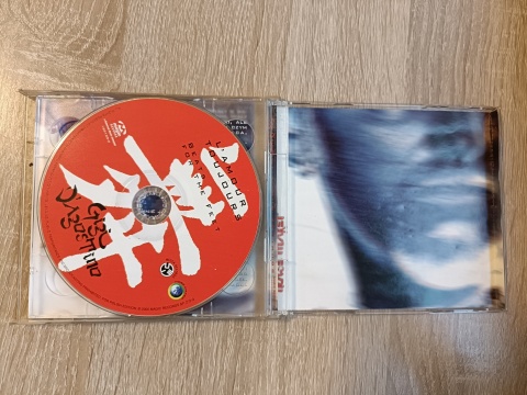 Płyta 2CD Gigi D'Agostino