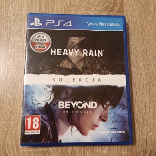 Gra na konsolę PS4 Heavy Rain