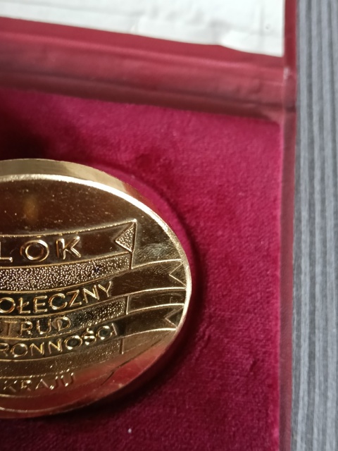 Okręg Śląski Liga Obrony Kraju złoty medal.