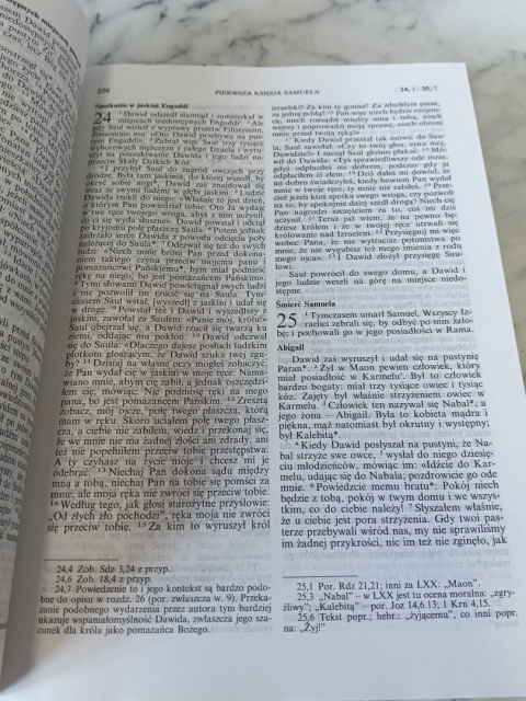 Pismo Święte Nowego Starego Testamentu pallottinum