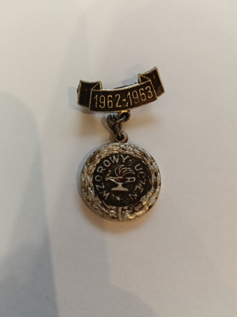 Odznaka wzorowy uczeń p9